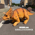 Carica l'immagine nel visualizzatore della galleria, Triceratops shell For Robert Dog-MCSRTR34