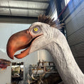 Carica l'immagine nel visualizzatore della galleria, Animatronic Phorusrhacos Model-AFP004