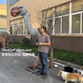 Carica l'immagine nel visualizzatore della galleria, Animatronic Phorusrhacos Model-AFP004