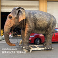 Bild in Galerie-Betrachter laden, Animatronic Asian Elephant Model-MAA002