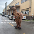 Load image into Gallery viewer, Raptor Suit Made By Mcsdino
