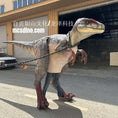 Load image into Gallery viewer, DCRP733-VelociraptorCostume