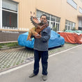 Bild in Galerie-Betrachter laden, Embark on an Adventure: Interact with our Lifelike Dinosaur Puppet!-BB063