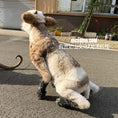 Bild in Galerie-Betrachter laden, A dog dressed in a realistic animal costume, including floppy ears, brown and white fur, and black paws, sitting on an asphalt street outdoors.