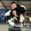 Cargar la imagen en la vista de la galería, Lifelike Cow Cub Hand Puppet-BB126