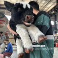 Cargar la imagen en la vista de la galería, Lifelike Cow Cub Hand Puppet-BB126