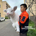 Cargar la imagen en la vista de la galería, Lifelike Lamb Hand Puppet-BB138