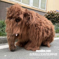 Load image into Gallery viewer, Brown dog with shaggy fur standing on a street