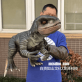 Load image into Gallery viewer, Person holding a dinosaur costume in front of a building