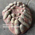 Load image into Gallery viewer, SKR037-Raptor Egg Nest-USD350