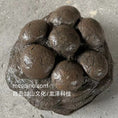 Load image into Gallery viewer, SKR040-Ornithopod Nest-USD350
