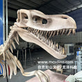 Load image into Gallery viewer, DinosaurSkeletonPropsEspeciallyForShow