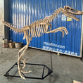 Load image into Gallery viewer, DinosaurSkeletonPropsEspeciallyForShow