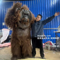 Load image into Gallery viewer, Ultra-RealisticOrangutanCostume_UnleashYourWildSide_3