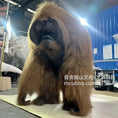 Load image into Gallery viewer, Ultra-RealisticOrangutanCostume_UnleashYourWildSide_3