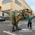 Bild in Galerie-Betrachter laden, Person standing next to a large dinosaur costume in an outdoor setting