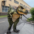 Bild in Galerie-Betrachter laden, Person in a dinosaur costume standing on a street