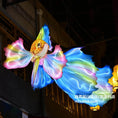 Load image into Gallery viewer, Golden Fish Lantern Festival-LTGF001