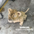 Load image into Gallery viewer, lion cub unitree go shell