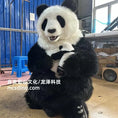 Charger l'image dans la visionneuse de la galerie, Ultra-Realistic Animatronic Panda Costume | Lifelike Performance-DCPA001