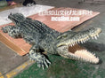 Charger l'image dans la visionneuse de la galerie, Realistic Alligator Costume-DCCC002