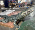 Charger l'image dans la visionneuse de la galerie, Realistic Alligator Costume-DCCC002