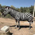 Cargar la imagen en la vista de la galería, zebra animatronic-mcsdino