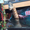 Bild in Galerie-Betrachter laden, Brachiosaurus Head Animatronic
