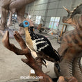 Bild in Galerie-Betrachter laden, Confuciusornis Animatronic-mcsdino