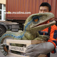 Bild in Galerie-Betrachter laden, Crate Baby Raptor Puppet
