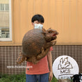 Load image into Gallery viewer, Baby Glyptodon Animal Puppet