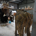 Load image into Gallery viewer, Megaloceros Giganteus Animatronic Animal