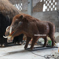 Load image into Gallery viewer, Metridiochoerus Animatronic Giant Warthog-AFM007