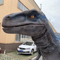 Bild in Galerie-Betrachter laden, Raptor blue costume designed MCSDINO