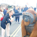 Load image into Gallery viewer, realistic orangutan costume