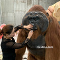 Load image into Gallery viewer, realistic orangutan costume