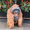 Load image into Gallery viewer, realistic orangutan costume