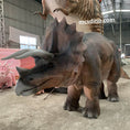 Load image into Gallery viewer, Triceratops Costume Dino Suit