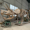 Load image into Gallery viewer, Triceratops Fossil Replica 7-feet Tall