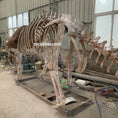 Load image into Gallery viewer, Triceratops Fossil Replica 7-feet Tall