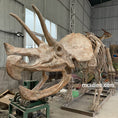 Load image into Gallery viewer, Triceratops Fossil Replica 7-feet Tall