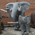 Load image into Gallery viewer, Adult And Baby Elephant (spray water)