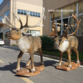Bild in Galerie-Betrachter laden, mcsdino designed animatronic caribou reindeer