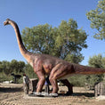 Charger l'image dans la visionneuse de la galerie, MCSDINO 6m Tall Realistic Brachiosaurus Animatronic-MCSB004B
