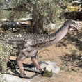 Load image into Gallery viewer, MCSDINO Animatronic Dinosaur Animatronic Bellusaurus Dinosaur Model-MCSB001