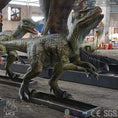 Bild in Galerie-Betrachter laden, MCSDINO Animatronic Dinosaur Dinosaur Animatronics Velociraptors Hunt In Packs-MCSV001