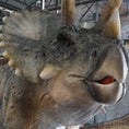 Load image into Gallery viewer, MCSDINO Animatronic Dinosaur Dinosaur Model 32 Foot Animatronic Triceratops-MCST003