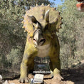 Load image into Gallery viewer, MCSDINO Animatronic Dinosaur Moveable Triceratops Animatronic Dinosaur-MCST003D