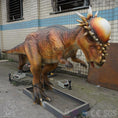 Load image into Gallery viewer, MCSDINO Animatronic Dinosaur Pachycephalosaurus Animatronics Fighting Head To Head-MCSP001