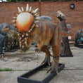 Load image into Gallery viewer, MCSDINO Animatronic Dinosaur Pachycephalosaurus Animatronics Fighting Head To Head-MCSP001